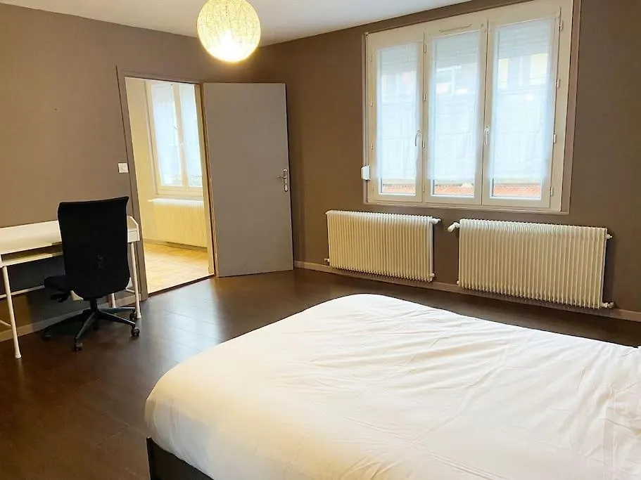 « Le Bergson » Appart Spacieux Apartment Saint-Etienne  France